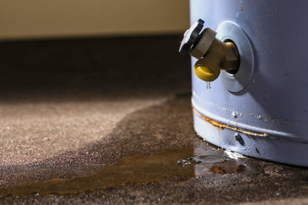 Carpet water damage restoration in Clinton, NY