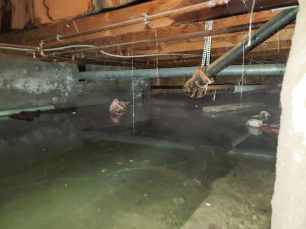 Best Basement water damage restoration  in Clinton, NY