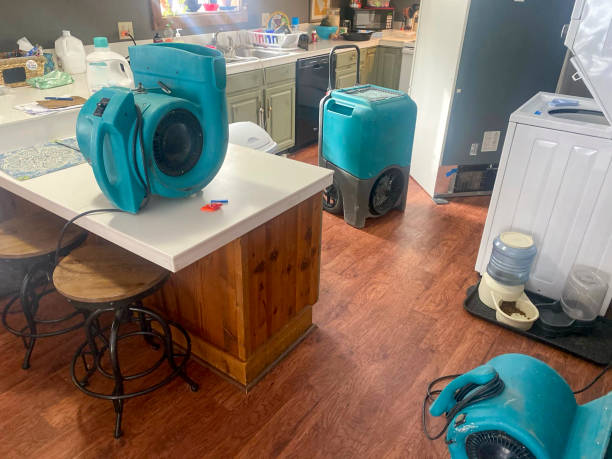 Best Carpet water damage restoration  in Clinton, NY