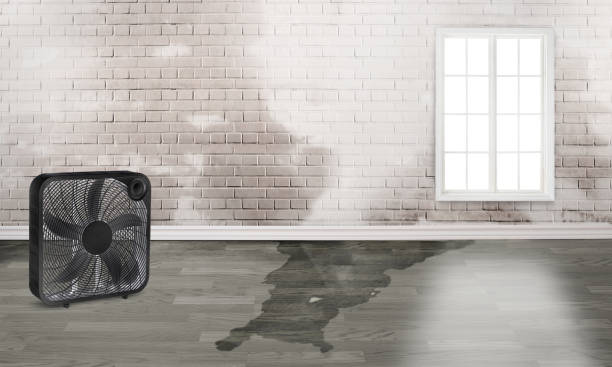 Water damage restoration process in Clinton, NY