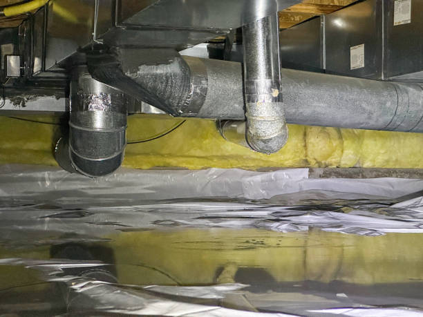 Best Water damage restoration near me  in Clinton, NY