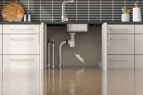 Best Carpet water damage restoration  in Clinton, NY