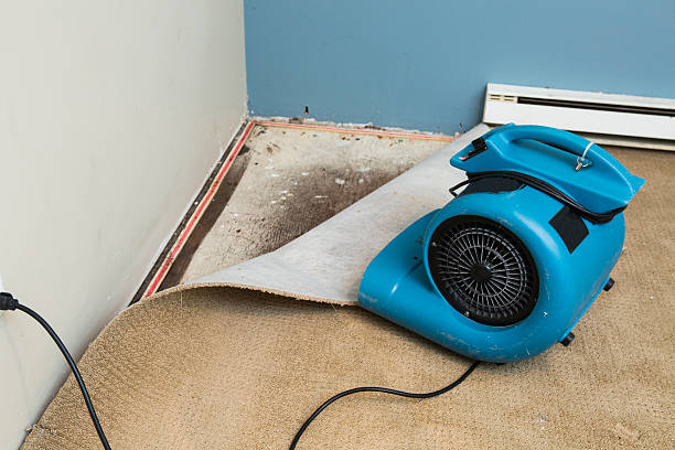 Best Flood damage cleanup  in Clinton, NY